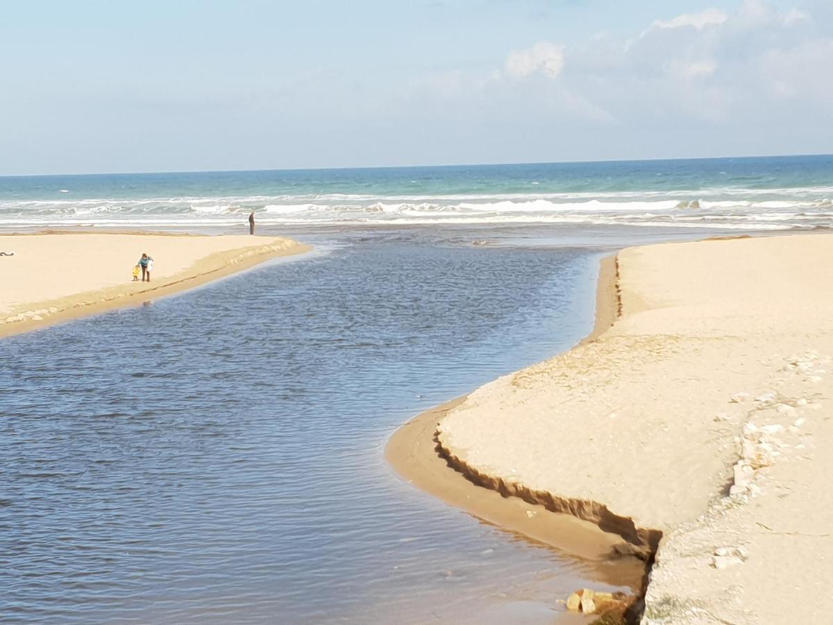 Apartamento Mar Y Sol, デニア エクステリア 写真